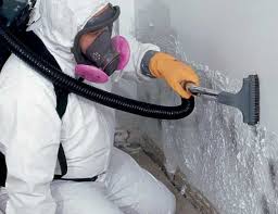 Professional Mold Prevention & Removal  in Glenrock, WY